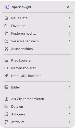 Tatsächliches SparkleRight Services-Aktionsmenü mit Erstellungs-, Kopier-, Konvertierungs- und Organisationsaktionen, die auf ein Demonstrationsbild anwendbar sind