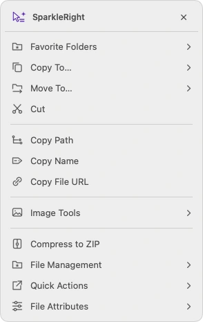 Actual SparkleRight Services action menu with creation, copy, conversion, and organization actions applicable to a demonstration image