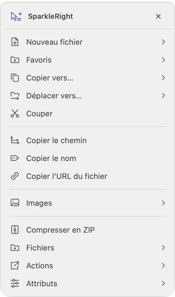 Menu d'actions SparkleRight Services réel avec actions de création, de copie, de conversion et d'organisation applicables à une image de démonstration