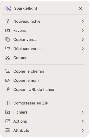 Menu d'action actuel de SparkleRight Services avec outils de chemin, ZIP et fichier pour un fichier texte de démonstration