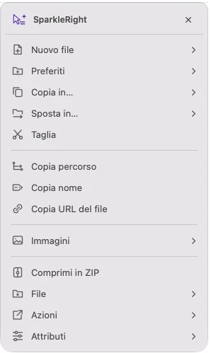 Menu di azioni effettive dei servizi SparkleRight con azioni di creazione, copia, conversione e organizzazione applicabili a un'immagine dimostrativa