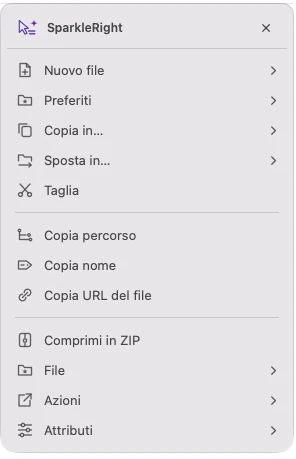 Menu di azioni effettivo dei servizi SparkleRight con percorso, ZIP e strumenti di file per un file di testo dimostrativo