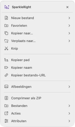 Actueel SparkleRight Services-actiemenu met creatie-, kopieer-, conversie- en organisatieacties die van toepassing zijn op een demonstratie-image