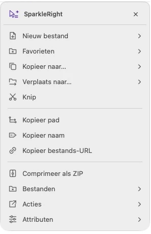 Actueel actiemenu van SparkleRight Services met pad-, ZIP- en bestandshulpmiddelen voor een demonstratietekstbestand