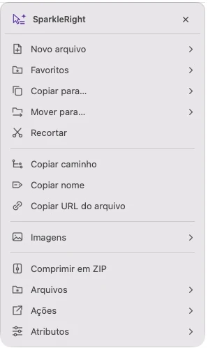 Menu de ação real do SparkleRight Services com ações de criação, cópia, conversão e organização aplicáveis a uma imagem de demonstração