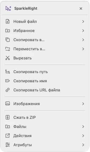 Фактическое меню действий SparkleRight Services с действиями по созданию, копированию, преобразованию и организации, применимыми к демонстрационному изображению.